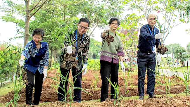 Inovasi Herbal Indonesia Diakui WHO, Bintang Toedjoe Pimpin Produk Berkelas Global