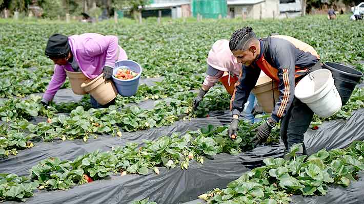 Penerapan filosofi Gobel Group dalam ekosistem bisnis kuliner berkelanjutan
